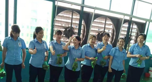 91视频直播APP新能源锂91视频APP下载免费厂家,向组装pack生产线发放端午福利